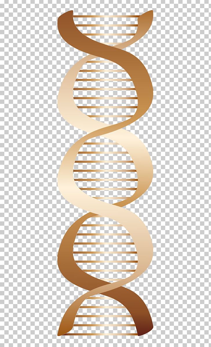 DNA Nucleic Acid Computer Icons PNG, Clipart, Angle, Beige, Biology, Bronze, Cell Free PNG Download