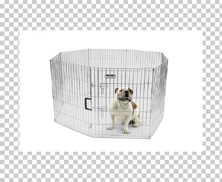 Dog Breed Dog Crate Pet Animal Shelter PNG, Clipart, Animal, Animals, Animal Shelter, Breed, Cage Free PNG Download