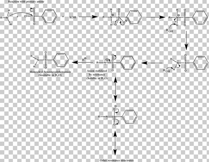 Hinsberg Reaction Amine Chemical Reaction Document PNG, Clipart, Acetate, Amine, Angle, Area, Black And White Free PNG Download