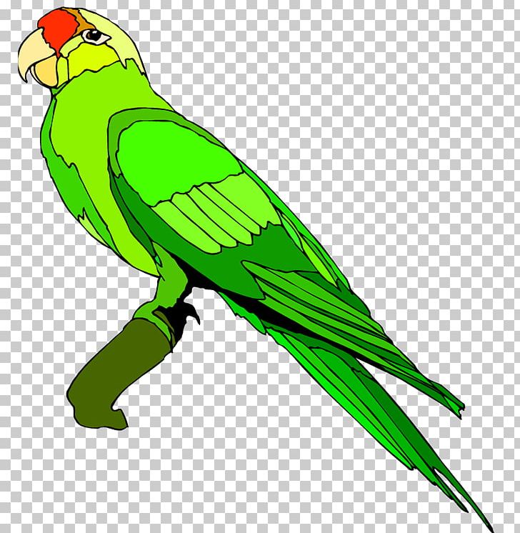 Parrot Blue-and-yellow Macaw PNG, Clipart, Beak, Bird, Blueandyellow Macaw, Common Pet Parakeet, Computer Free PNG Download
