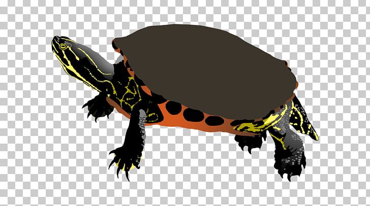 Tortoise Amphibian Terrestrial Animal PNG, Clipart, Amphibian, Animal, Animal Figure, Fauna, Organism Free PNG Download