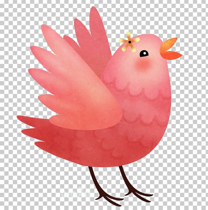 Chicken Bird Phasianidae Rooster Beak PNG, Clipart, Animal, Animals, Beak, Bird, Chicken Free PNG Download