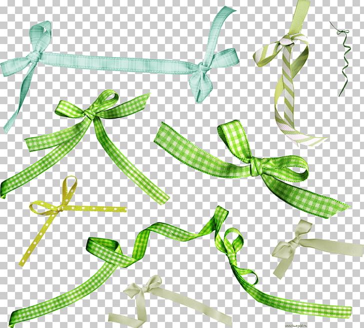 Clothing Accessories Fashion PNG, Clipart, Clothing Accessories, Fashion, Fashion Accessory, Green, Others Free PNG Download