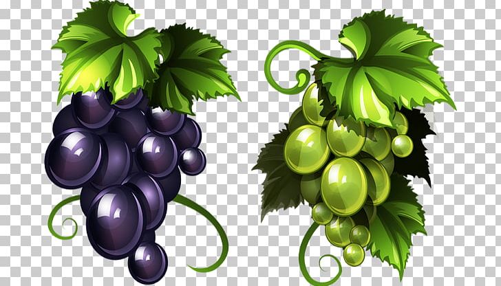 Common Grape Vine Raisin Red Wine PNG, Clipart, Common Grape Vine, Drawing, Flowering Plant, Food, Fruit Free PNG Download