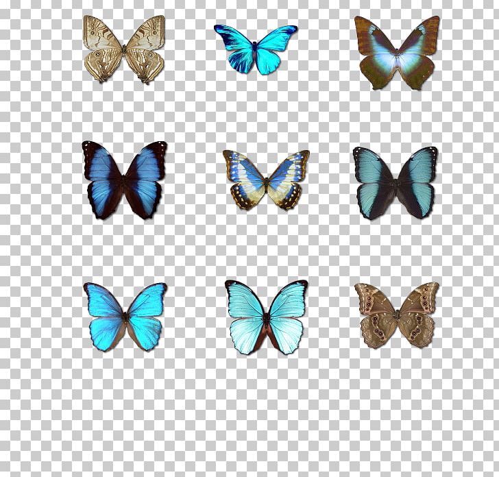 ICO Icon PNG, Clipart, Adobe Illustrator, Biological Specimen, Blue, Blue Butterfly, Butte Free PNG Download