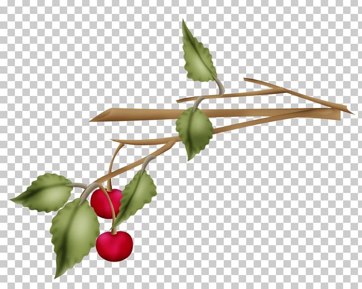 Rose Hip Twig Plant Stem Leaf PNG, Clipart, Berry, Branch, Food, Fruit, Leaf Free PNG Download