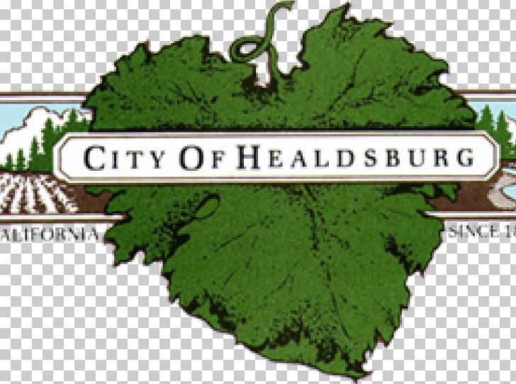 Sebastopol Petaluma Healdsburg Center For The Arts Cloverdale World Gym Healdsburg PNG, Clipart, Cloverdale, Grass, Healdsburg, Leaf Vegetable, Map Free PNG Download