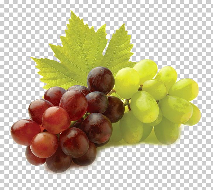 Grape Seed Extract Fruit Grapevines Grape Leaves PNG, Clipart, Berry, Food, Fruit, Fruit Nut, Grape Free PNG Download