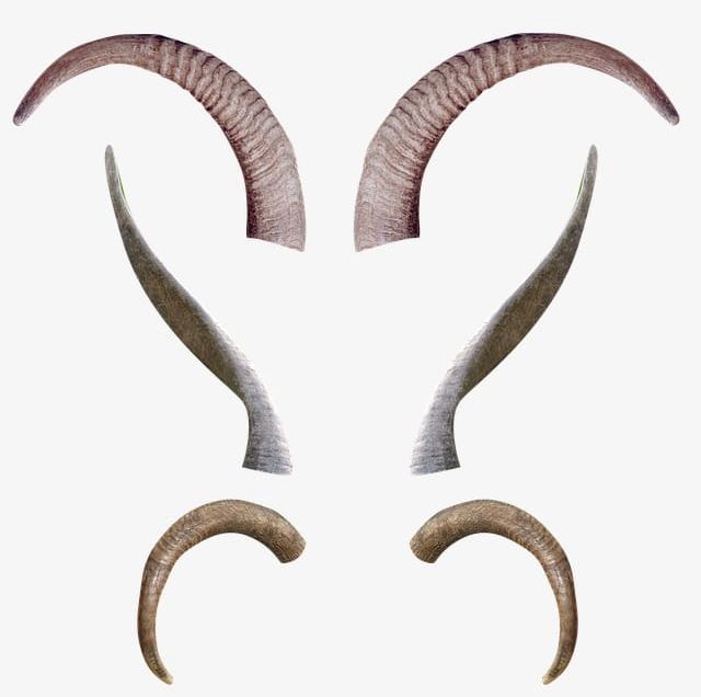 Horns Horns PNG, Clipart, Animal, Antelope, Antelope Horn, Claw, Horn Free PNG Download