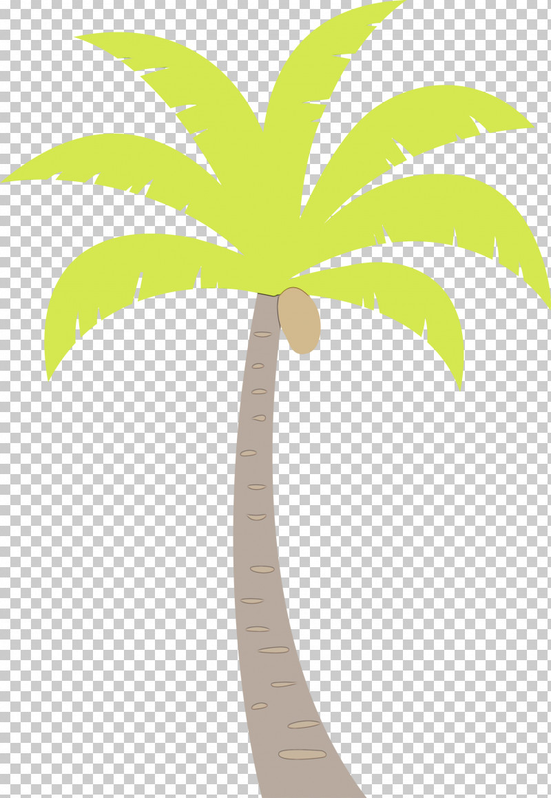 Palm Trees PNG, Clipart, Beach, Biology, Cartoon Tree, Flower, Flowerpot Free PNG Download
