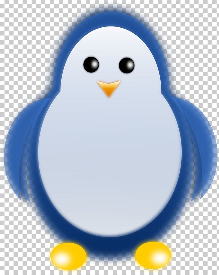 Little Penguin Bird Tux PNG, Clipart, Animal, Animals, Beak, Bird, Chinstrap Penguin Free PNG Download