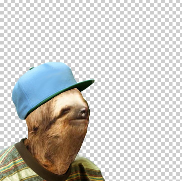 Odd Future Sloth Digital Art PNG, Clipart, Art, Artist, Cap, Deviantart, Digital Art Free PNG Download