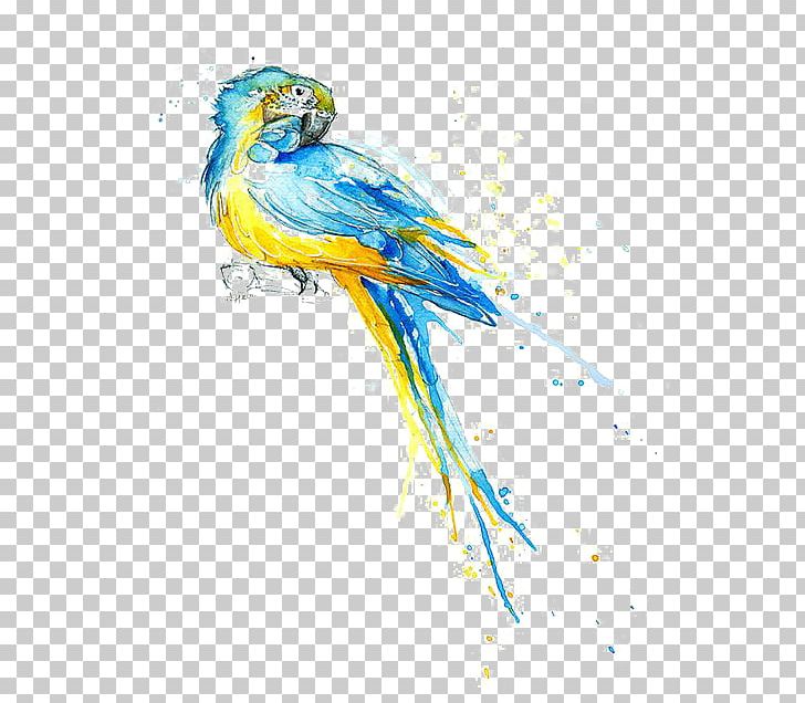 Parrot Watercolor Painting Drawing Illustration PNG, Clipart, Animals, Art, Beak, Bird, Blue Free PNG Download
