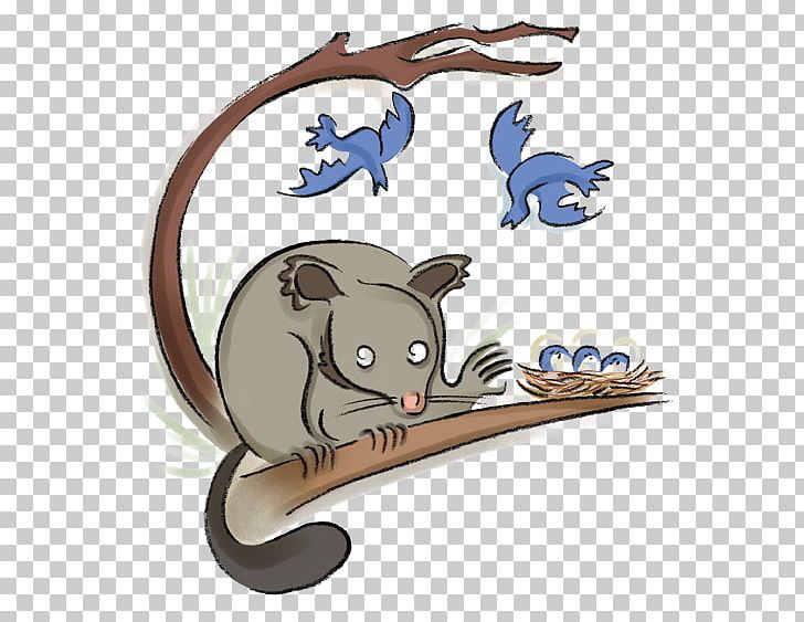 Cat Wombat Common Brushtail Possum Koala PNG, Clipart, Animal, Animals, Carnivoran, Cartoon, Cat Free PNG Download
