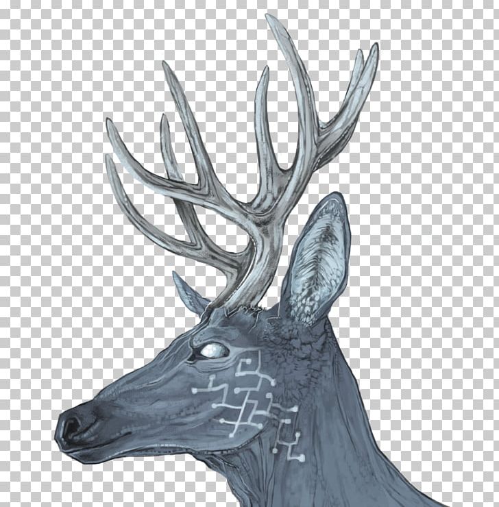 Reindeer Elk Antler Wildlife PNG, Clipart, Antler, Cartoon, Deer, Elk, Horn Free PNG Download