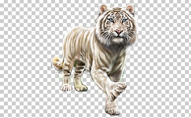 White Tiger Gorilla Lion PNG, Clipart, Animal, Animals, Big Cat, Big Cats, Carnivoran Free PNG Download