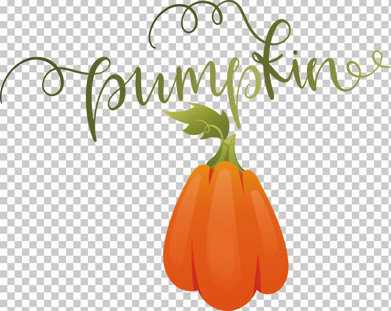 Pumpkin PNG, Clipart, Autumn, Pumpkin Free PNG Download