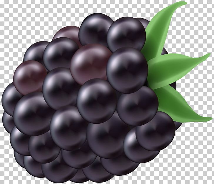 BlackBerry DTEK50 BlackBerry DTEK60 PNG, Clipart, Berry, Blackberry, Blackberry Dtek50, Blackberry Dtek60, Food Free PNG Download