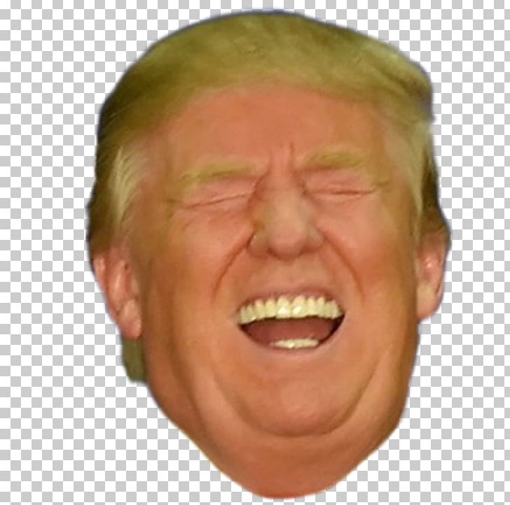 Donald Trump Chin President Of The United States Make America Great Again Cheek PNG, Clipart, Again, Celebrities, Celebrity, Cheek, Chin Free PNG Download