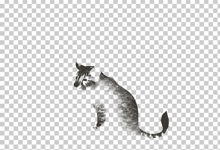 Whiskers Kitten Domestic Short-haired Cat Paw PNG, Clipart, Animals, Black And White, Carnivoran, Cat, Cat Like Mammal Free PNG Download