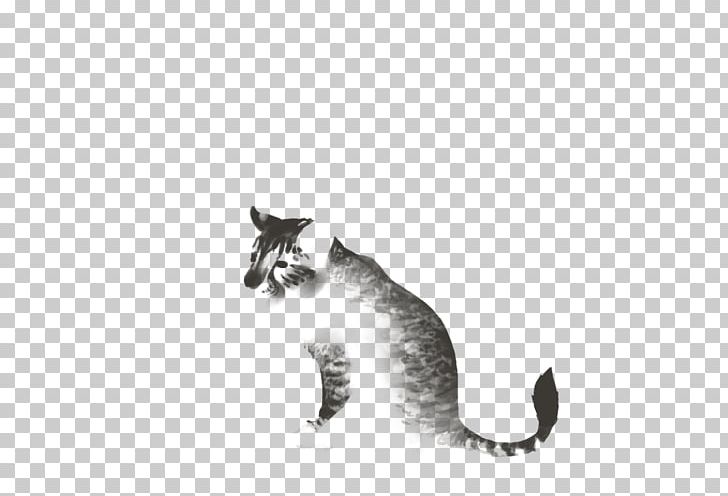 Whiskers Kitten Domestic Short-haired Cat Paw PNG, Clipart, Animals ...