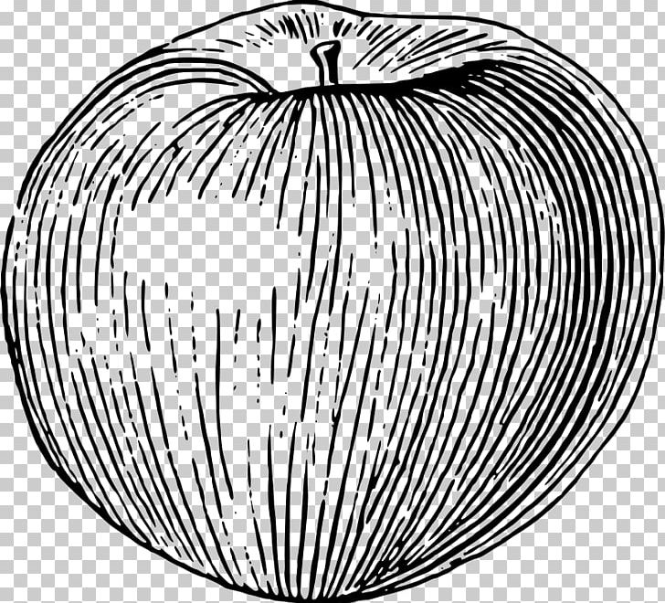 Candy Apple Juice Drawing PNG, Clipart, Apple, Apples, Black And White, Candy Apple, Caramel Apple Free PNG Download