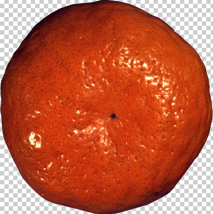 Clementine Tangerine Mandarin Orange Blood Orange Tangelo PNG, Clipart, Bitter Orange, Blood, Blood Orange, Citrus, Clementine Free PNG Download