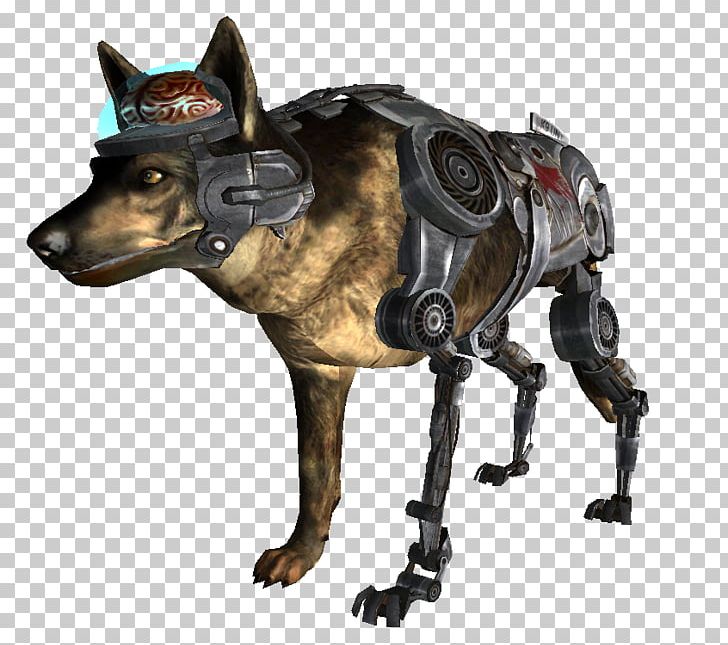 fallout 3 dog meat
