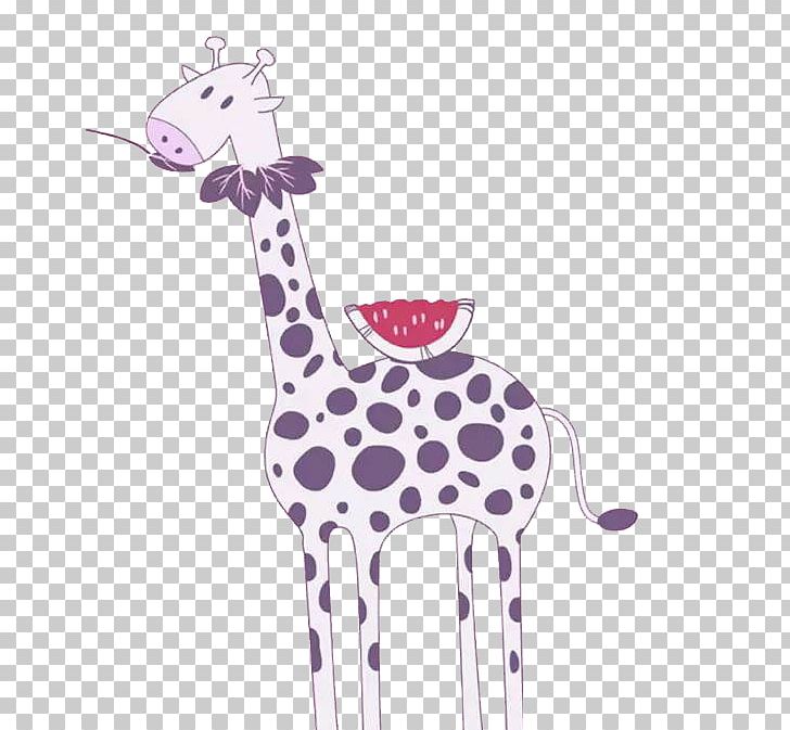 Northern Giraffe Cartoon Drawing PNG, Clipart, Animals, Animation, Balloon Cartoon, Boy Cartoon, Cartoon Character Free PNG Download