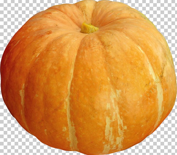 Pumpkin Gourd Winter Squash Vegetarian Cuisine Patty Pan PNG, Clipart, Calabaza, Commodity, Cucumber Gourd And Melon Family, Cucurbita, Cucurbita Pepo Free PNG Download