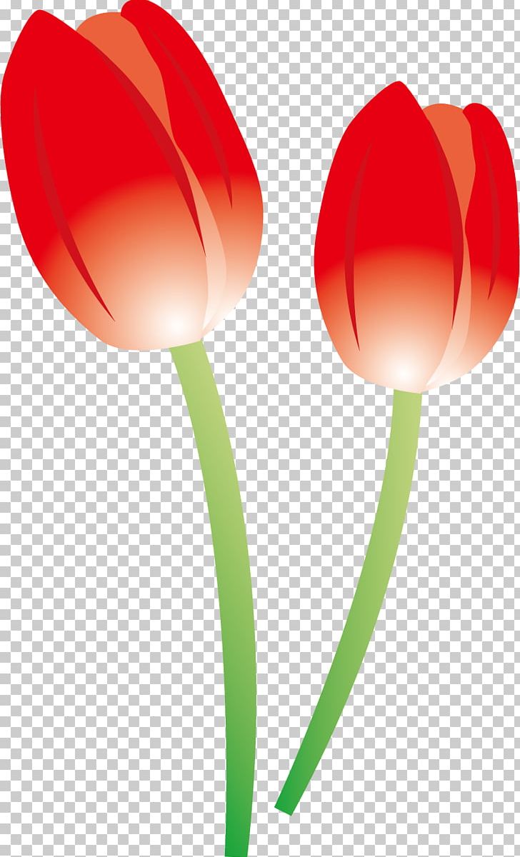 Tulip Flowers. PNG, Clipart, Copyright, Copyrightfree, Encapsulated Postscript, Flower, Flowering Plant Free PNG Download