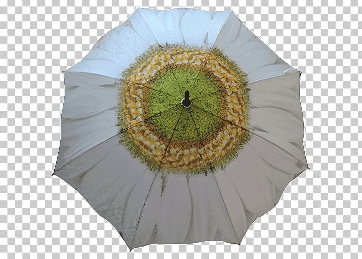 Umbrella White Flower Garden Waterproofing PNG, Clipart, Brand, Canopy, Color, Common Daisy, Flower Free PNG Download