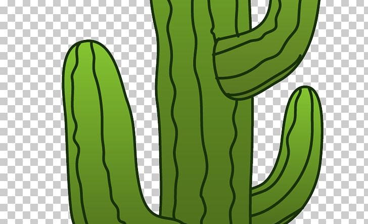Cactaceae Saguaro PNG, Clipart, Cactaceae, Cactus, Cartoon, Commodity, Desert Free PNG Download