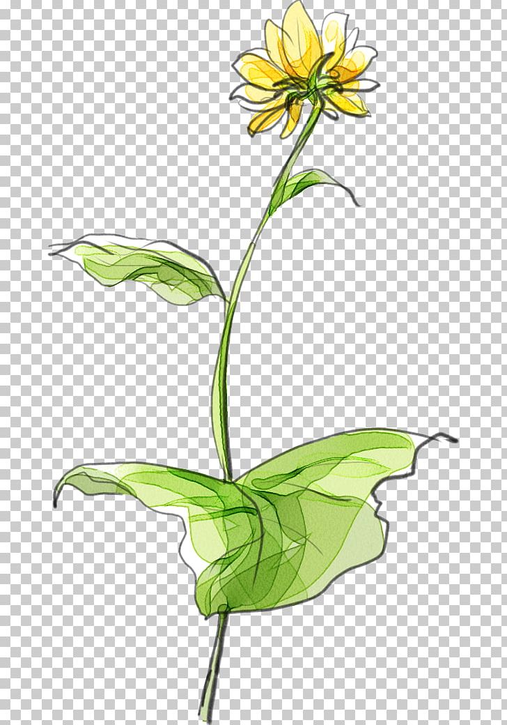 Floral Design Common Sunflower Designer Creativity PNG, Clipart, Advertising Design, Cartoon, Cuteness, Fictional Character, Flower Free PNG Download