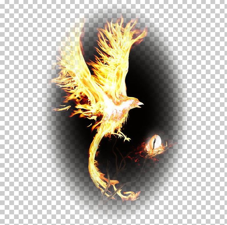 Phoenix Mythology Legendary Creature Art PNG, Clipart, Art, Computer Wallpaper, Dark Phoenix Saga, Dragon, Fantasy Free PNG Download