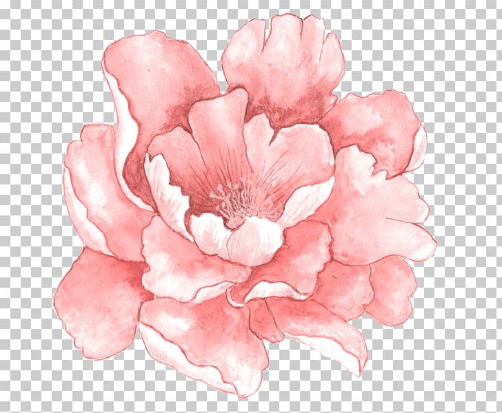 Pink Flowers Watercolor Painting PNG, Clipart, Azalea, Blossom, Canvas, Cartoon, Color Free PNG Download
