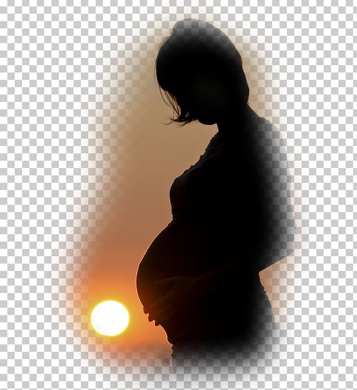 Pregnancy Photography Mother Silhouette PNG, Clipart, Computer, Computer Wallpaper, Contrejour, Desktop Wallpaper, Joint Free PNG Download