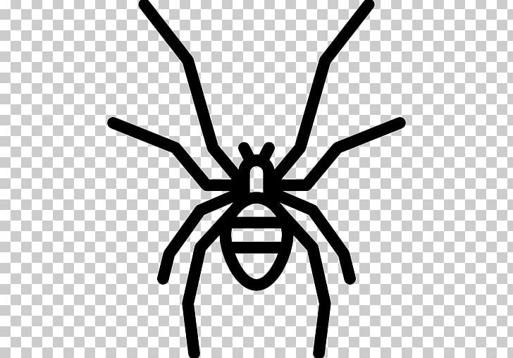 Insect Computer Icons PNG, Clipart, Animal, Animals, Arachnid, Arthropod, Artwork Free PNG Download