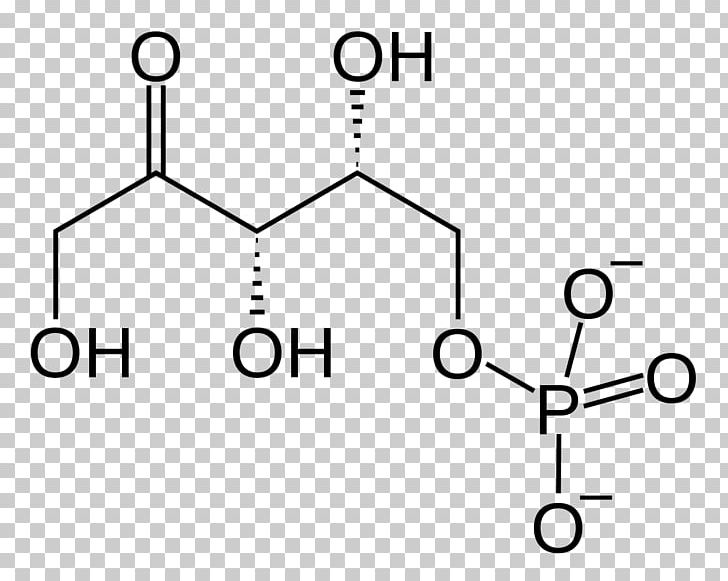 Xylulose 5-phosphate Ribulose 5-phosphate Ribose 5-phosphate Pentose Phosphate Pathway PNG, Clipart, Angle, Area, Material, Miscellaneous, Monochrome Free PNG Download