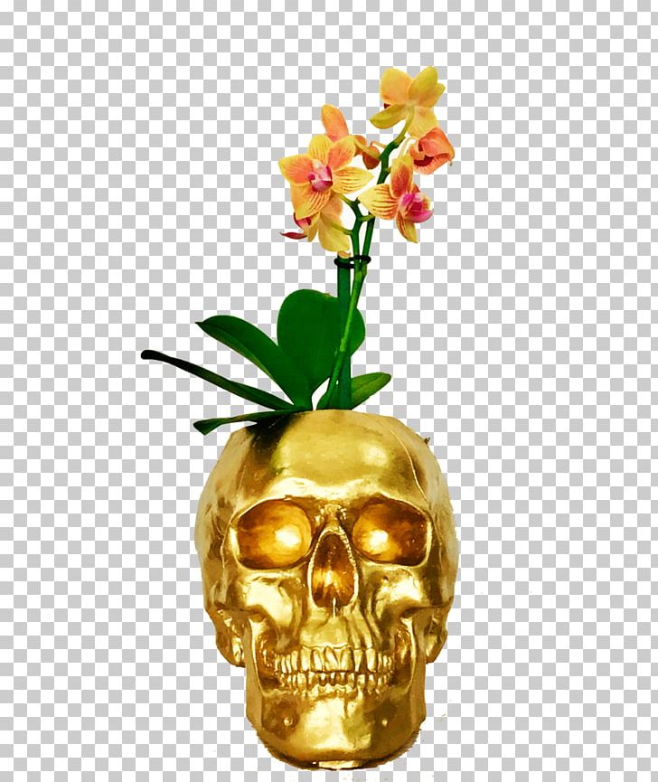Cut Flowers Moth Orchids Flowerpot PNG, Clipart, Cut Flowers, Floral Design, Flower, Flowering Plant, Flowerpot Free PNG Download