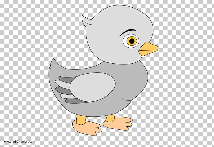 Duck Drawing Painting PNG, Clipart, Animals, Architecture, Bird, Bird Of Prey, Carnivoran Free PNG Download