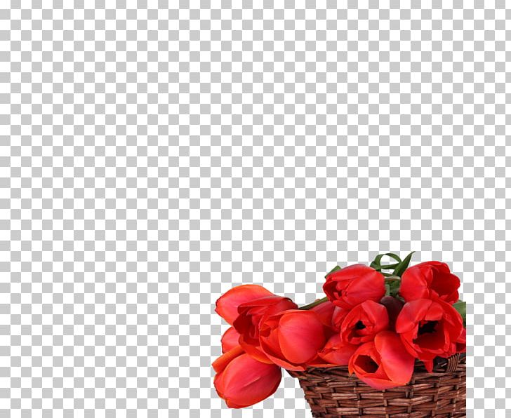 Floral Design Cut Flowers Tulip High-definition Television PNG, Clipart, 720p, Aspect Ratio, Cut Flowers, Floral Design, Floristry Free PNG Download