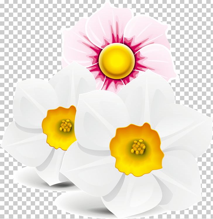 Lexington PNG, Clipart, Amaryllis Family, Bright Vector, Color, Flower Bouquet, Flowering Plant Free PNG Download