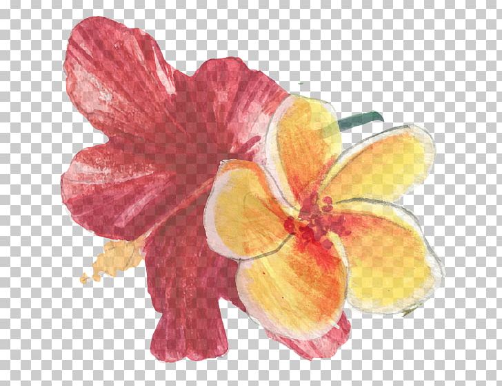 Mallows Hibiscus Flower Moth Orchids Petal PNG, Clipart, Daylily, Family, Flower, Flowering Plant, Hibiscus Free PNG Download