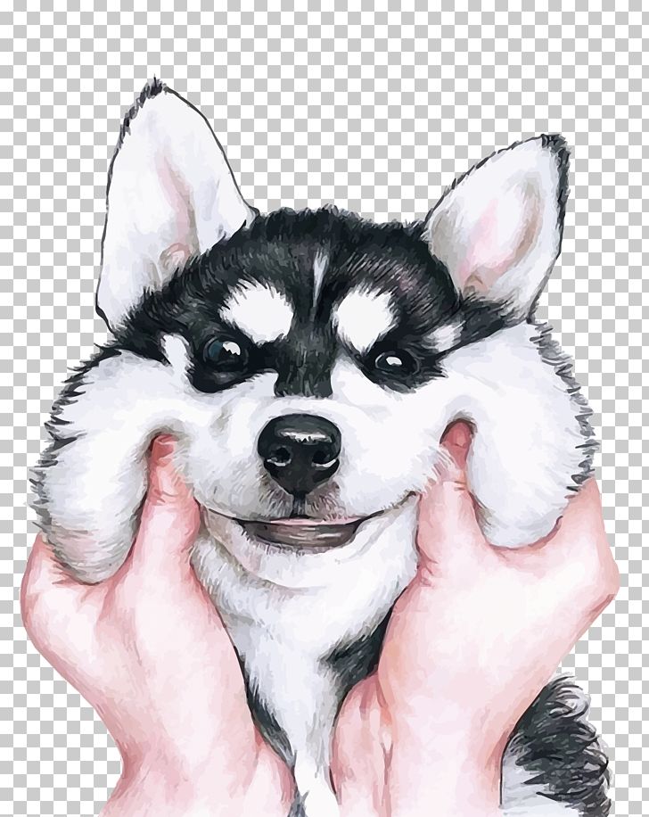 Siberian Husky PNG, Clipart, Animal, Carnivoran, Cartoon, Chibi, Cuteness Free PNG Download