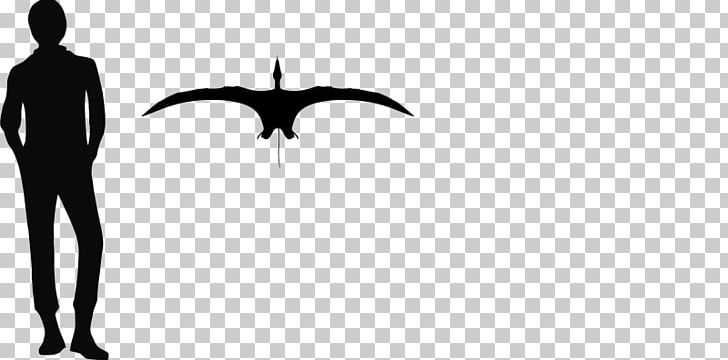 Sordes Darwinopterus Caviramus Pterodactyloidea Rhaetian PNG, Clipart, Black, Black And White, Darwinopterus, Fictional Character, Jurassic Free PNG Download