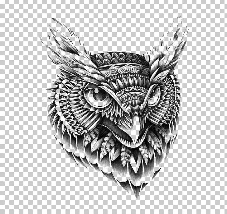 Owl Drawing Ornament Illustrator Illustration PNG, Clipart, Animal, Animals, Art, Beak, Bird Free PNG Download
