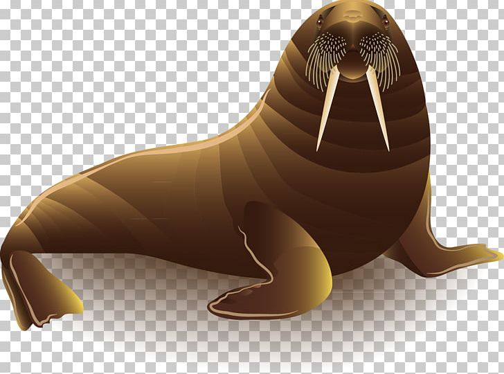 Sea Lion Walrus PNG, Clipart, Adobe Illustrator, Animal, Aquatic Animal, Carnivoran, Christmas Decoration Free PNG Download