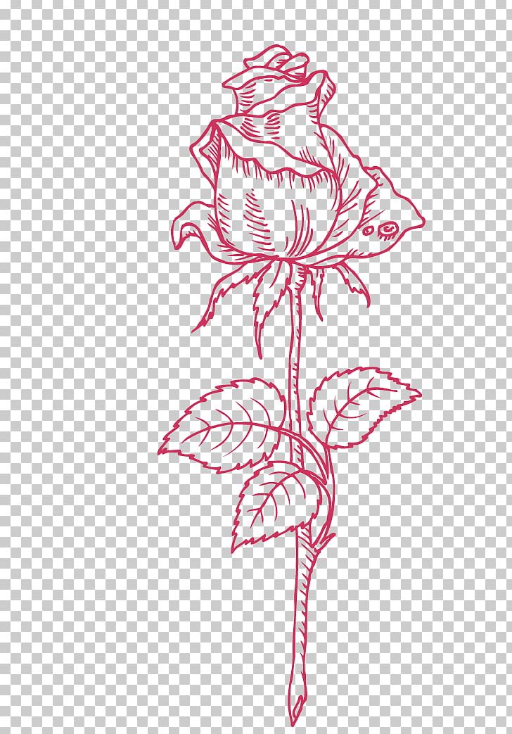 Beach Rose Drawing PNG, Clipart, Art, Branch, Encapsulated Postscript, Fictional Character, Flower Free PNG Download