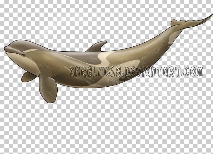 Dolphin PNG, Clipart, Animals, Dolphin, Marine Mammal, Whales Dolphins And Porpoises Free PNG Download